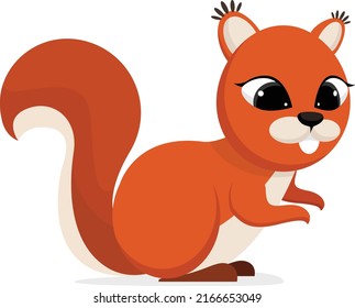 Cartoon squirrel on white background. Vector illustration