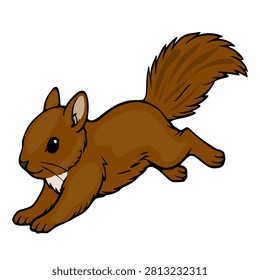 Cartoon squirrel running vector illustration of a cute woodland animal isolated on white