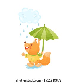 Cartoon squirrel is standing in the rain. Vector illustration.