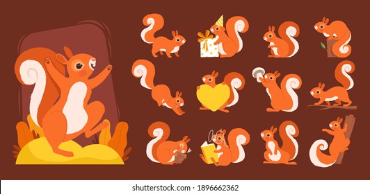 Cartoon squirrel. Wild wooden animals various poses squirrels on branch with nuts nowaday vector funny set