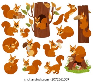 Cartoon Squirrel Woodland Animal Character, Sleeping, Jumping, Playing. Forest Wild Nimble Squirrel Vector Illustration Set. Cute Woods Fauna Rodent Animal. Cartoon Squirrel In Woodland Collection