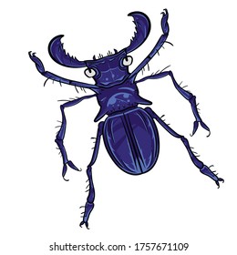 
Escarabajo de caricatura, morado. Vector