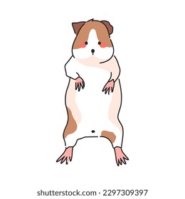 Cartoon Standing Guinea Pig Vector Illustration.