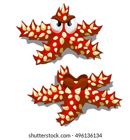 Cartoon starfish red with prickly thorns isolated on white background. Vector illustration.
