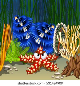 Cartoon starfish red with prickly thorns on the seabed among corals and algae. Vector cartoon close-up illustration.