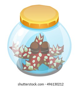 Cartoon starfish sleeping in a glass jar isolated on white background. Vector illustration.

