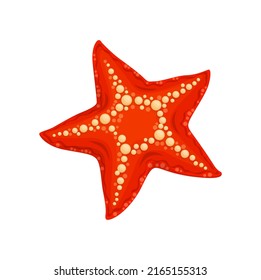 Cartoon starfish underwater animal, vector red sea invertebrate creature. Isolated ocean wild life, marine fauna inhabitant with red skin and dotted pimpled pattern