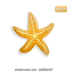 Cartoon starfish. Vector. isolated sea life