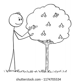 Cartoon stick drawing conceptual illustration of man picking fruit from small cherry or morello or sour cherry tree.