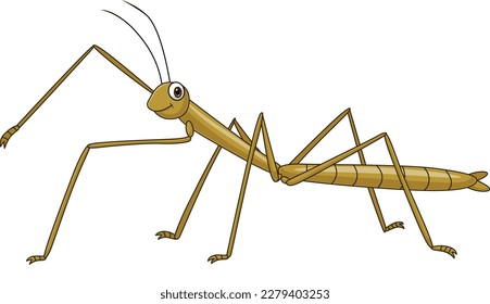 Cartoon stick insect on white background