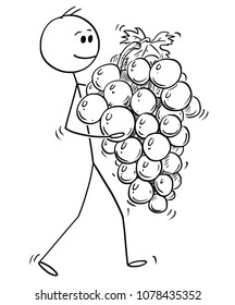 Cartoon stick man drawing conceptual illustration of man carrying big ripe bunch of grapes fruit. Concept of healthy lifestyle and agriculture.