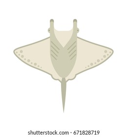 Cartoon stingray isolated on white background. Manta ray vector illustration in cartoon style. Devilfish top view in flat design.