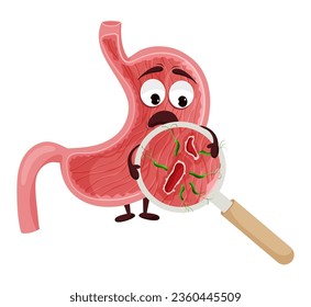 Cartoon stomach character with ulcer and helicobacter pylori infection under magnifying glass. Vector illustration on white background
