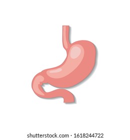 Cartoon stomach illustrations for doctors.