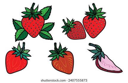 Cartoon strawberry flat simple segments, half and slices, juicy summer berry icons on white background, vector illustration