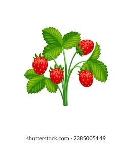 Cartoon strawberry, isolated vector garden or wild plant, adorned with vibrant red berries and lush healthy green leaves, a delightful symbol of nature bounty and freshness. Summer food, sweet dessert