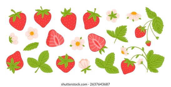 Cartoon strawberry. Red seasonal berry. Organic fruit in heart-shaped body, tiny yellow seed, green leafy cap, leaves, bloom flower. Summer sliced strawberry. Natural product vector set.