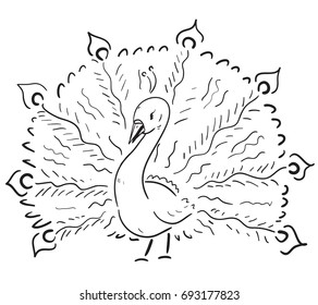Cartoon stripes peacock