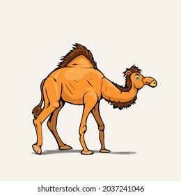 cartoon style arabic camel on white back