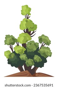Cartoon style bonsai tree colorful vector illustration. Vector tree illustration on white background.