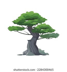 Cartoon style bonsai tree colourful vector illustration. Vector tree illustration on white background.