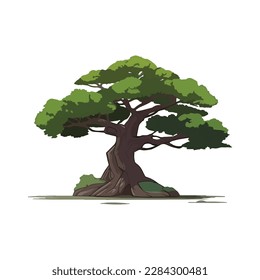 Cartoon style bonsai tree colourful vector illustration. Vector tree illustration on white background.