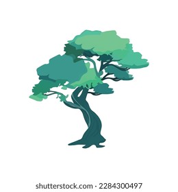 Cartoon style bonsai tree colourful vector illustration. Vector tree illustration on white background.