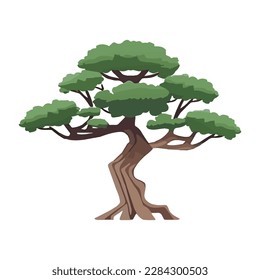 Cartoon style bonsai tree colourful vector illustration. Vector tree illustration on white background.