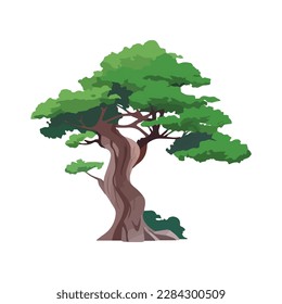 Cartoon style bonsai tree colourful vector illustration. Vector tree illustration on white background.