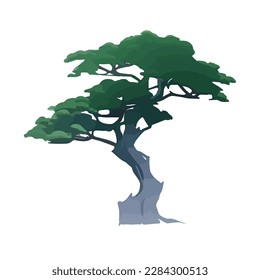 Cartoon style bonsai tree colourful vector illustration. Vector tree illustration on white background.