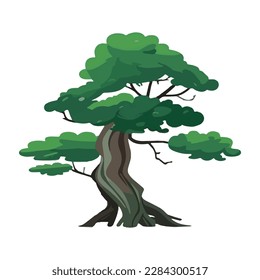 Cartoon style bonsai tree colourful vector illustration. Vector tree illustration on white background.