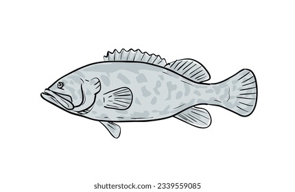 Cartoon style drawing sketch illustration of a Atlantic Goliath Grouper or Epinephelus itajara, Jewfish fish of the Gulf of Mexico on isolated white background.