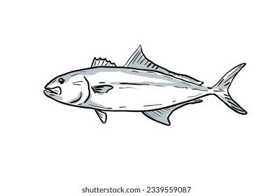 Cartoon style drawing sketch illustration of a Greater Amberjack, Seriola dumerili, Amberjack, Medregal, Coronado fish of the Gulf of Mexico on isolated white background.