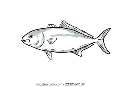 Cartoon style drawing sketch illustration of a lesser amberjack or Seriola fasciata fish of the Gulf of Mexico on isolated white background.