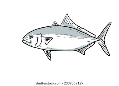 Cartoon style drawing sketch illustration of a Banded Rudderfish or Seriola Zonata fish of the Gulf of Mexico on isolated white background.