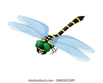 Cartoon style giant dragonfly vector illustration_diagonal