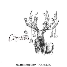 Cartoon Style Hand Sketchy drawing of reindeer, vector illustration