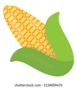 Cartoon style icon for corn on the cob is presented here 