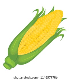 
Cartoon style icon for corn on the cob is presented here 
