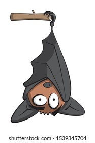 Cartoon style illustration of a cute bat hanging upside down. 