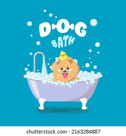 Cartoon style illustration of cute spitz dog taking a bath. Yellow rubber duck in bathtub. Grooming concept.