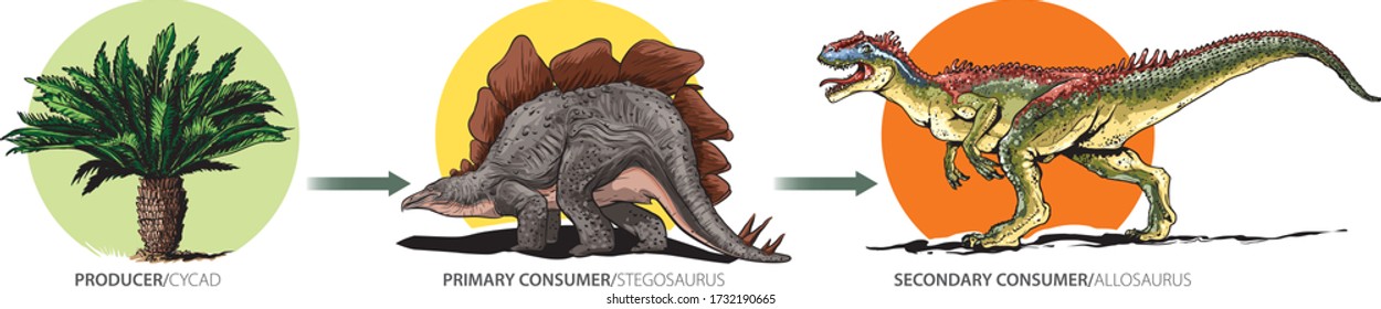 Cartoon style illustration shows example of mesozoic food chain.