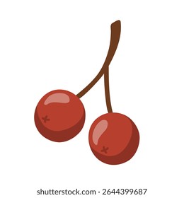 Cartoon style illustration of two red berries on a branch, resembling rowan or viburnum. Cartoon vector illustration