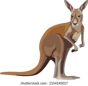 estilo de dibujos animados vector de pintura de canguro y fondo aislado