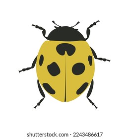 Cartoon style ladybug design creative concept vector.