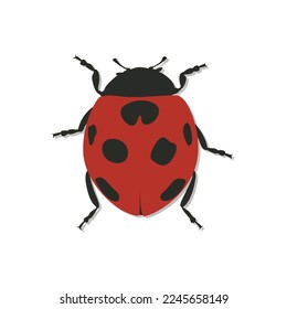 Estilo de dibujos animados ladybug diseño concepto creativo vector.