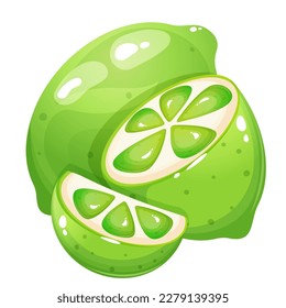 Cartoon style lime with small and big lime slices.