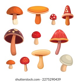 Cartoon Style Mushrooms Set on White Background. Vector