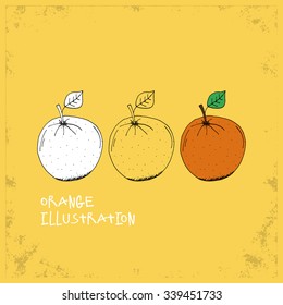 Cartoon Style Orange Illustration - Detailed Crafted Hand Drawn Doodle Colored Sketch - Graphic and Infographic and Food Resource from Healthy Fruit Collection - Vector Illustration
