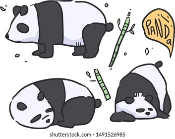cartoon style panda doodle  . Panda vector illustration